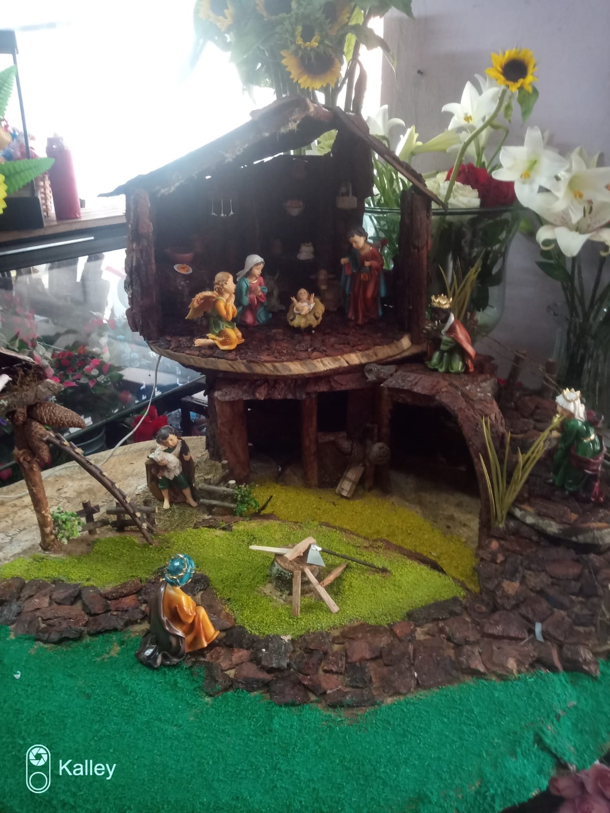 Pesebre en santine